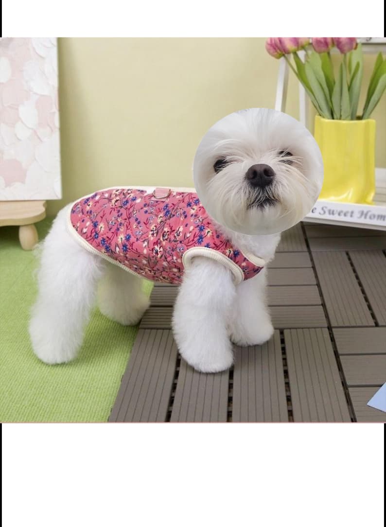 Puppy Cloths Shop 상세페이지 gallery 3