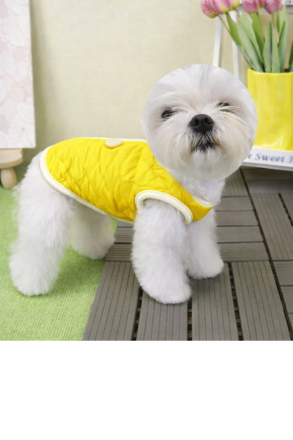 Puppy Cloths Shop 상세페이지 gallery 4